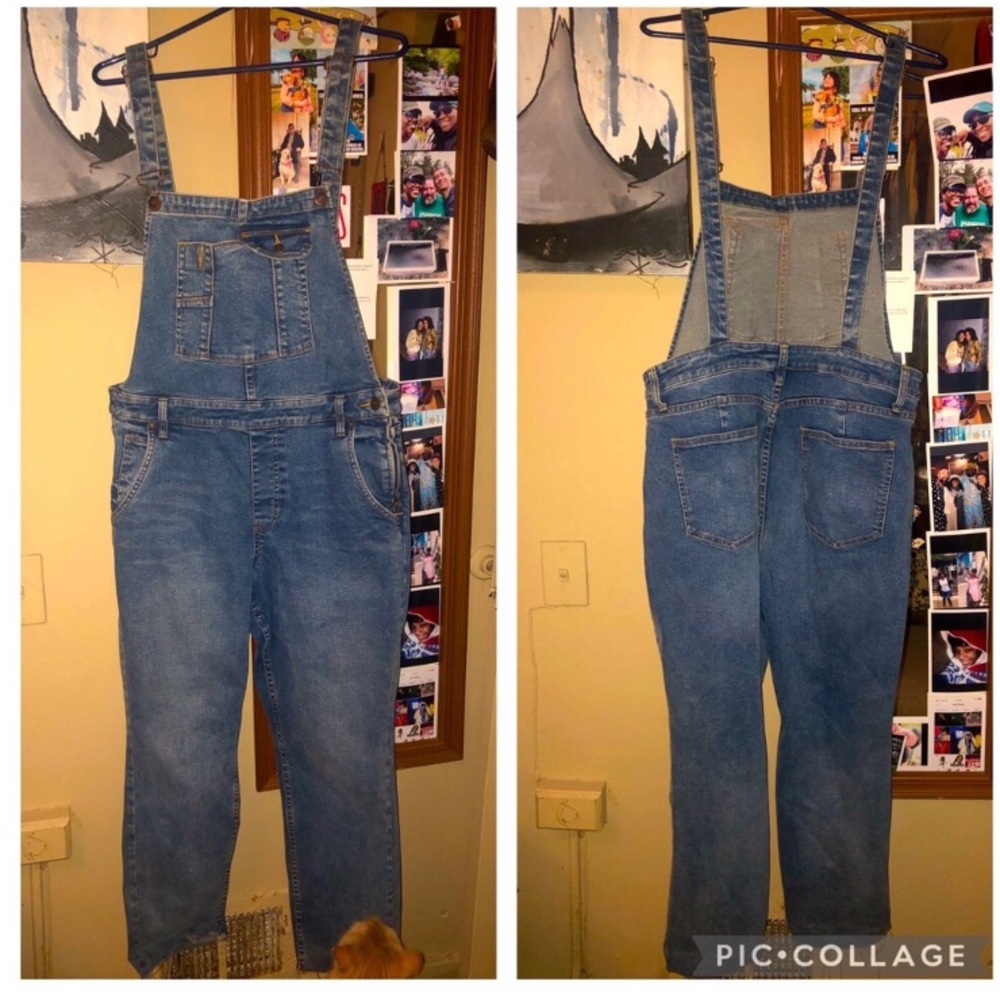 We the Free people overalls with a side zipper no rips or tears!